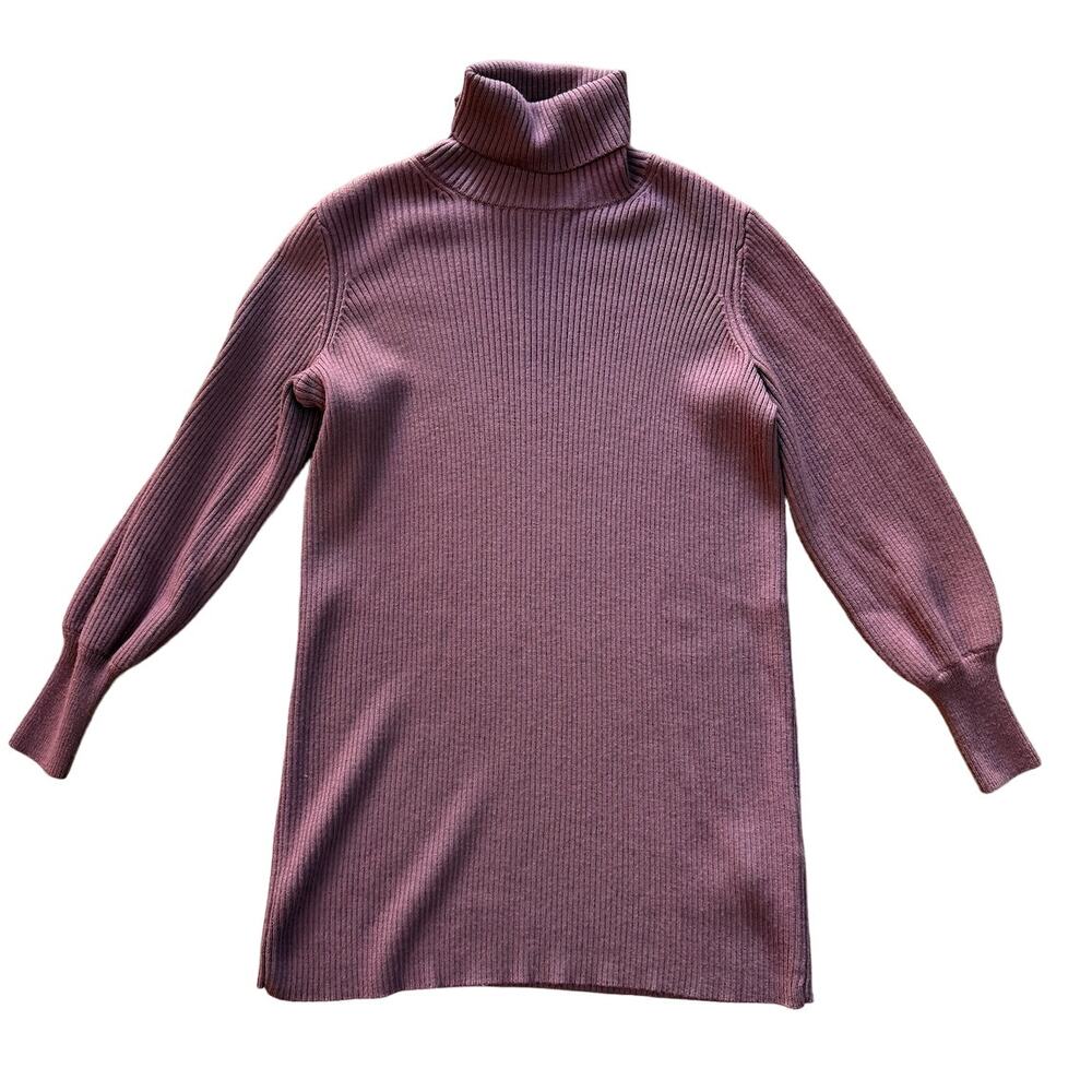 Aritzia Wilfred 100% Merino Wool Turtle Neck Ribbed Sweater Dress Size XXS